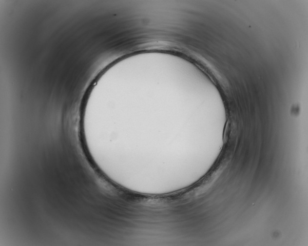 X0000102871418200809151224