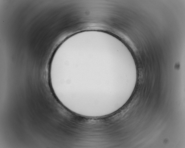 X0000102871419200809151224