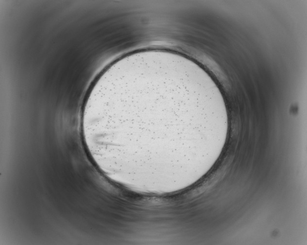 X0000102871420200809151224