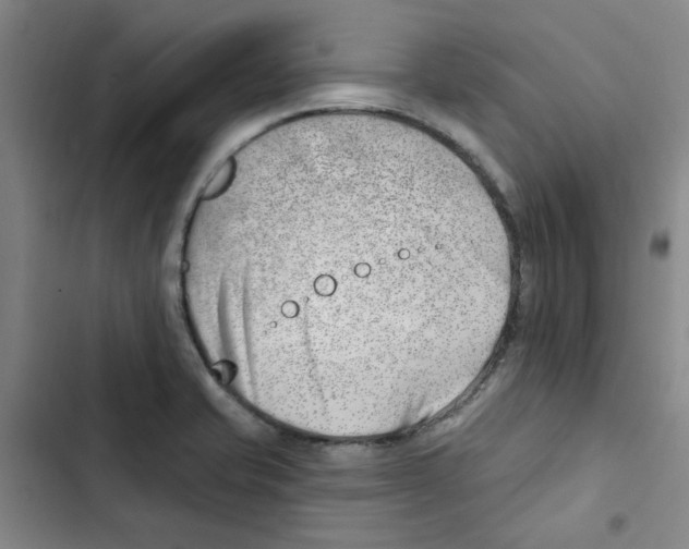 X0000102871421200809151224