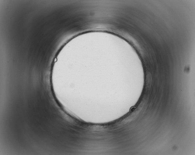 X0000102871424200809151224