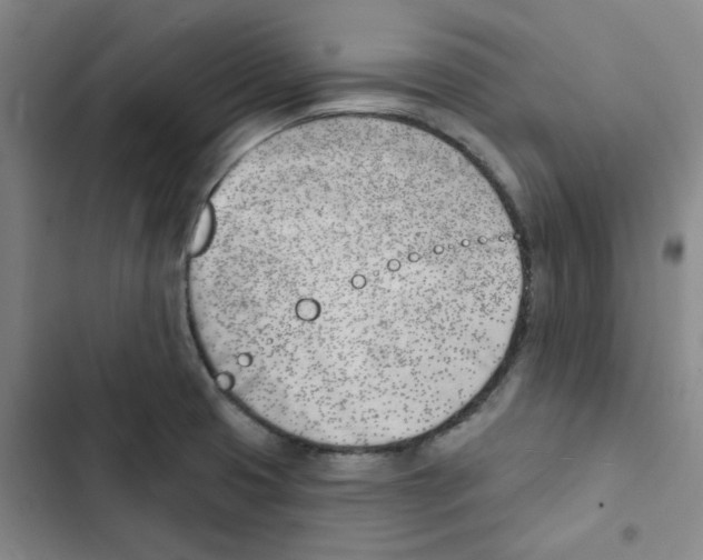 X0000102871425200809151224