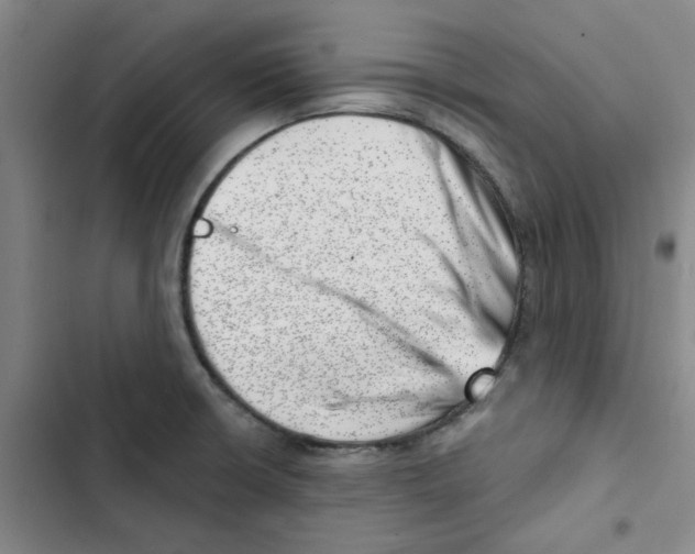 X0000102871426200809151224