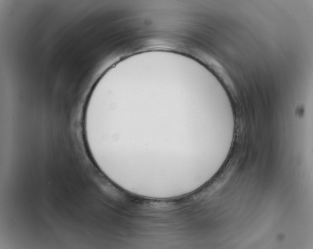 X0000102871427200809151224