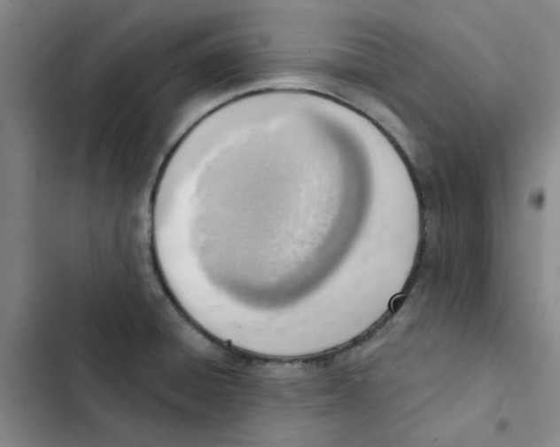 X0000102871428200809151224