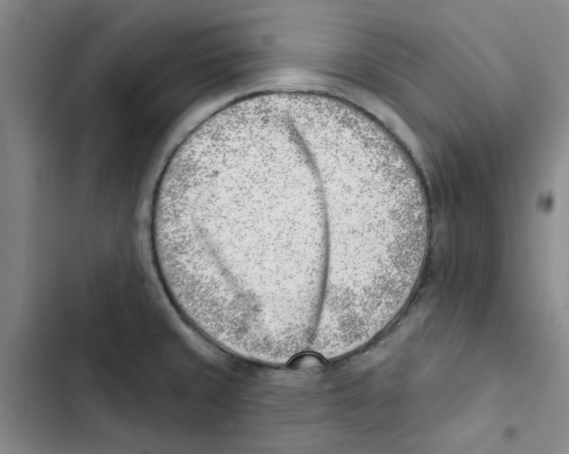 X0000102871429200809151224