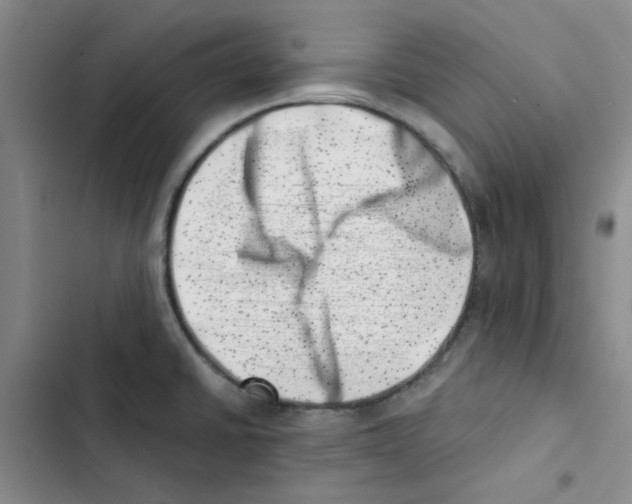 X0000102871430200809151224