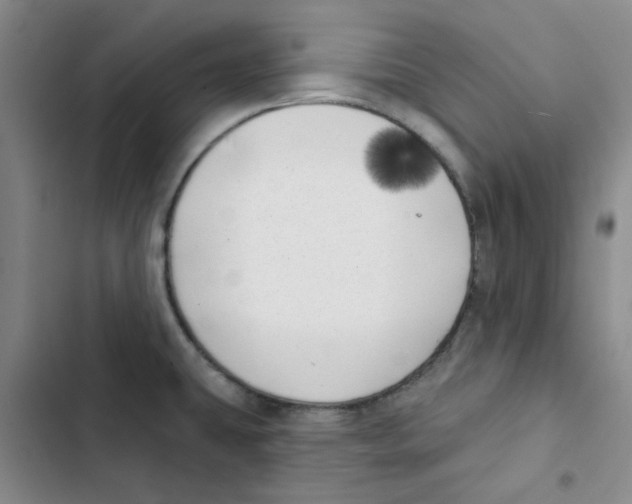 X0000102871431200809151224