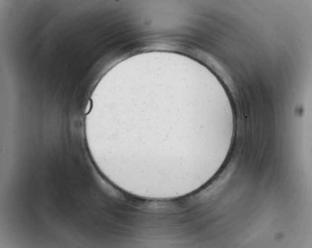 X0000102871433200809151224