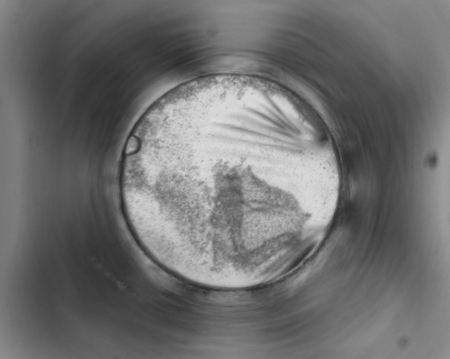 X0000102871434200809151224