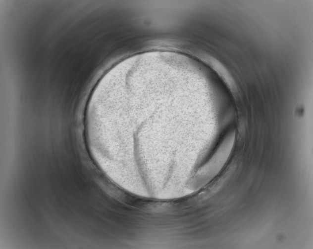 X0000102871435200809151224