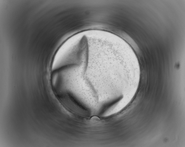 X0000102871436200809151224