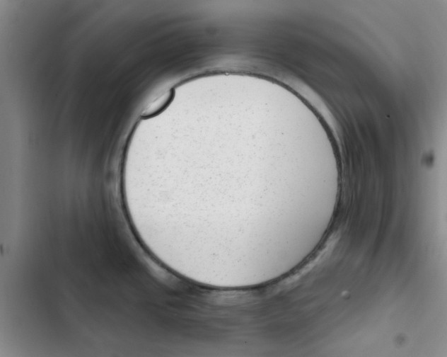 X0000102871437200809151224