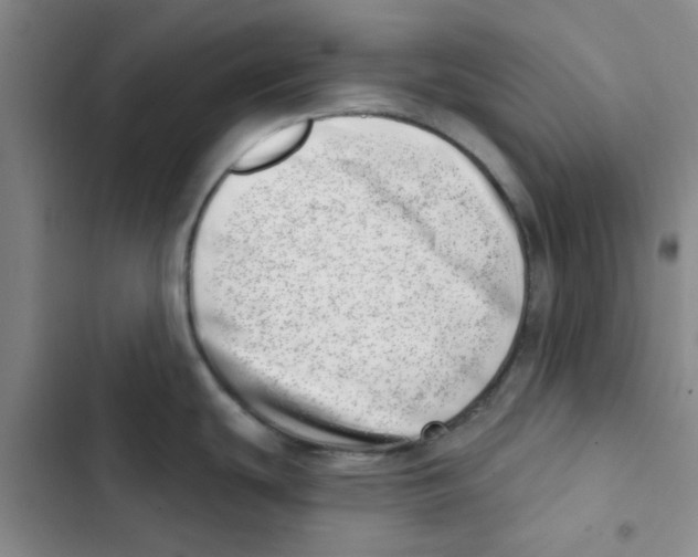 X0000102871439200809151224