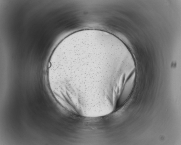 X0000102871440200809151224