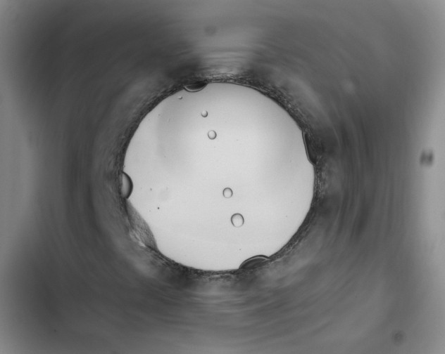 X0000102871441200809151224