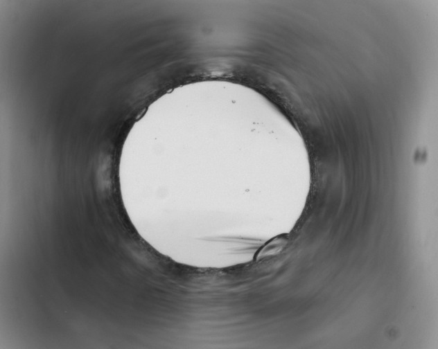 X0000102871442200809151224