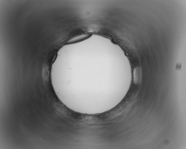 X0000102871443200809151224