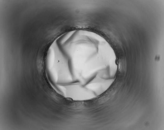 X0000102871444200809151224