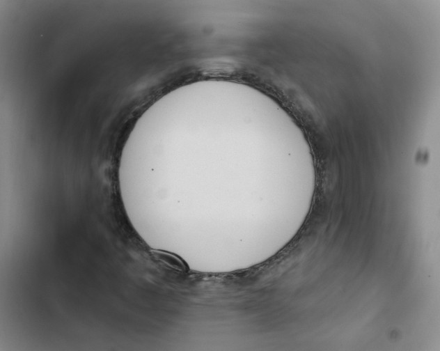 X0000102871445200809151224