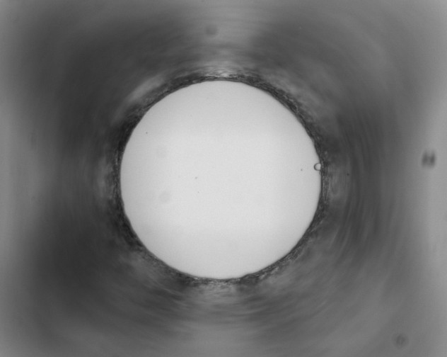 X0000102871446200809151224