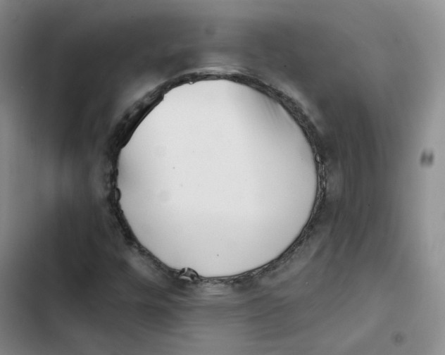 X0000102871448200809151224