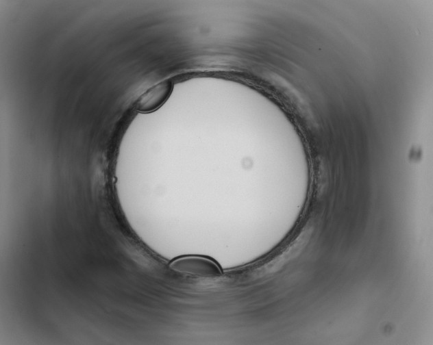 X0000102871449200809151224