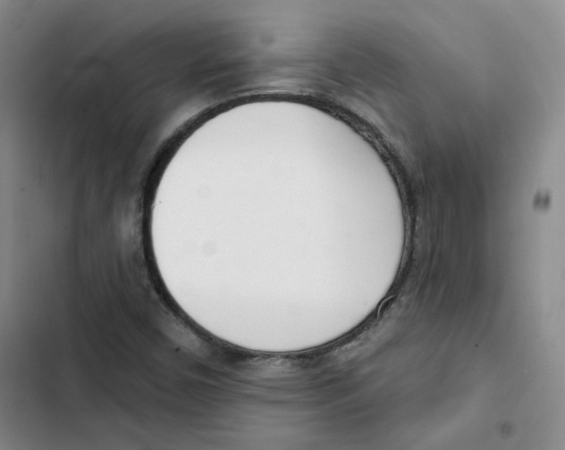 X0000102871450200809151224