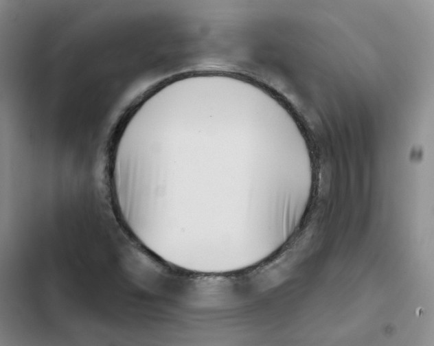 X0000102871454200809151223