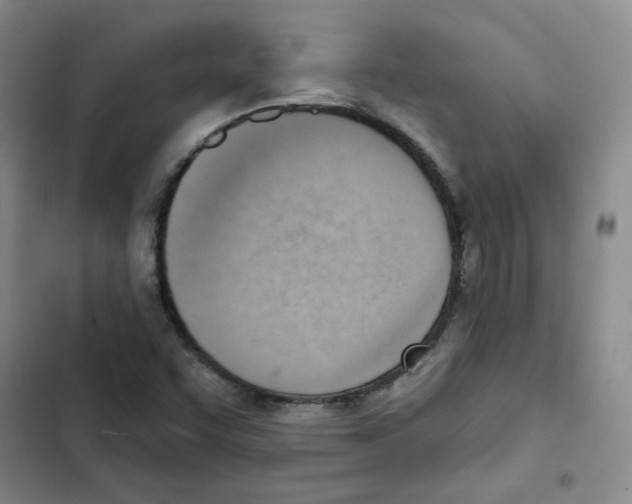 X0000102871455200809151223