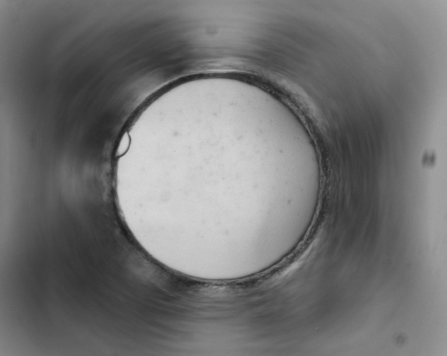 X0000102871457200809151223