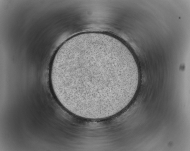 X0000102871459200809151223