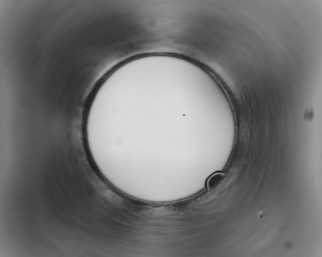 X0000102871460200809151223