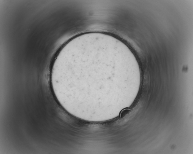 X0000102871461200809151223