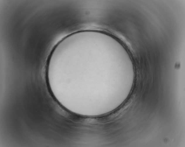 X0000102871463200809151223