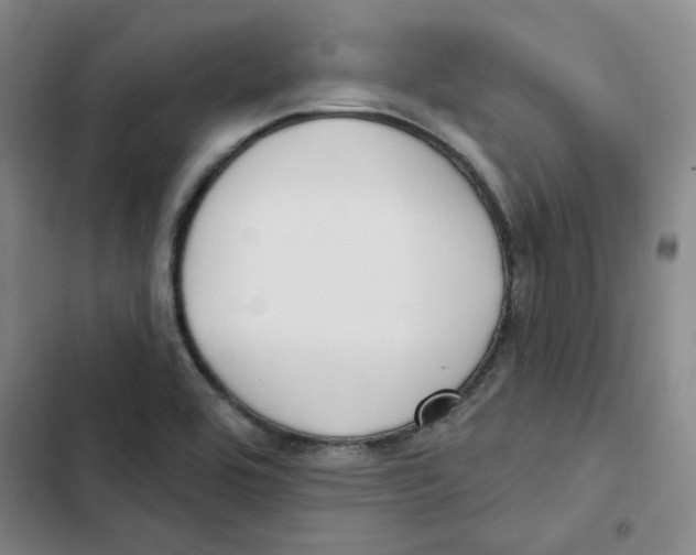 X0000102871464200809151223