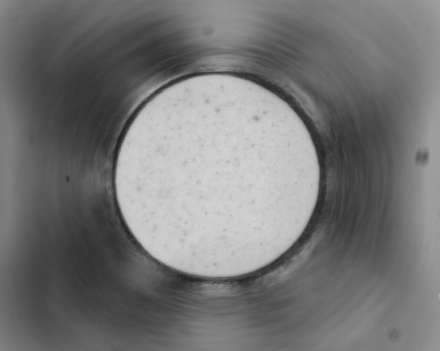 X0000102871465200809151223