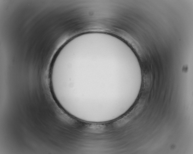 X0000102871466200809151223