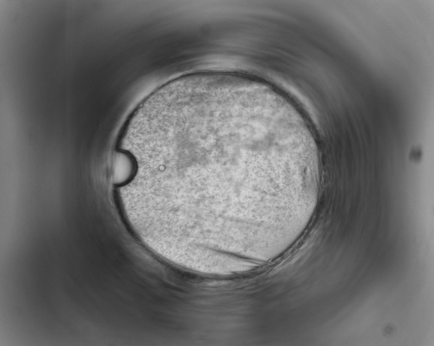 X0000102871467200809151223