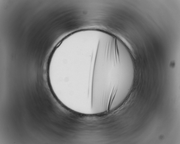 X0000102871468200809151223