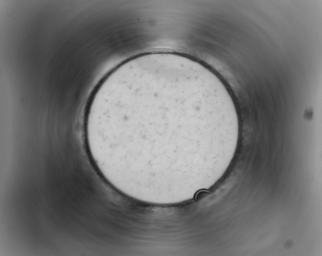 X0000102871469200809151223