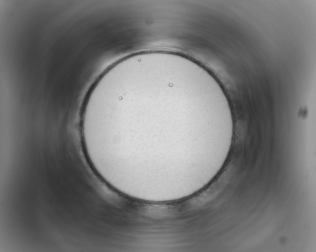 X0000102871470200809151223