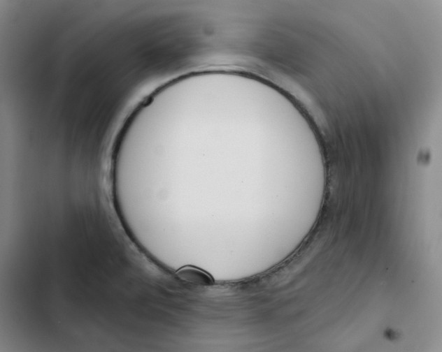 X0000102871472200809151223