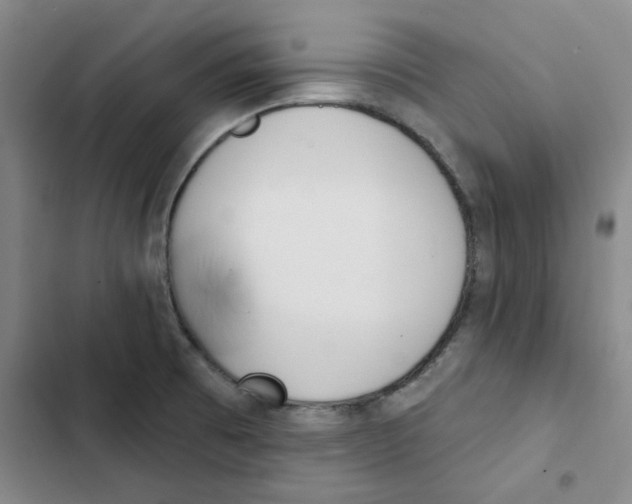 X0000102871473200809151223