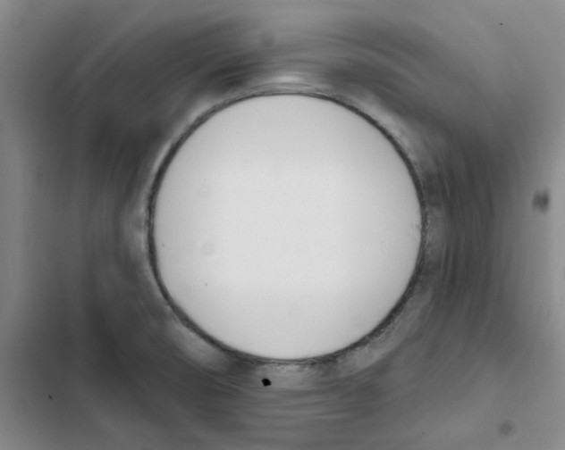 X0000102871474200809151223