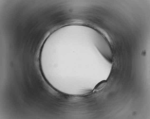 X0000102871475200809151223