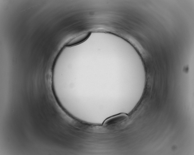 X0000102871476200809151223