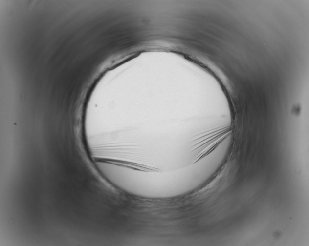 X0000102871477200809151223