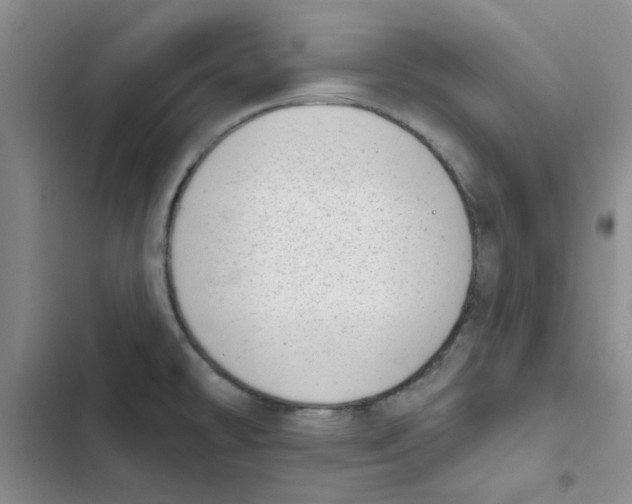 X0000102871478200809151223