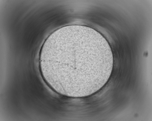 X0000102871479200809151223